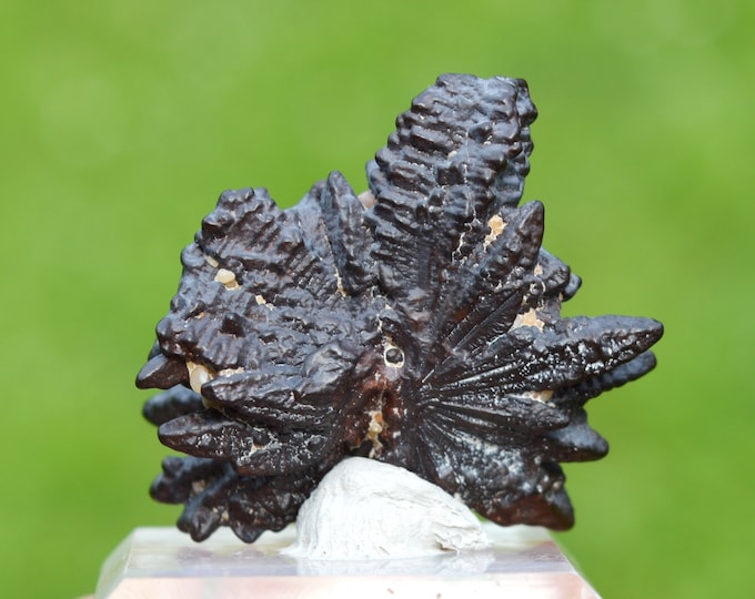 Goethite pseudomorphose after Marcasite - 34 grams - White Desert, Farafra Oasis, New Valley Governorate, Egypt