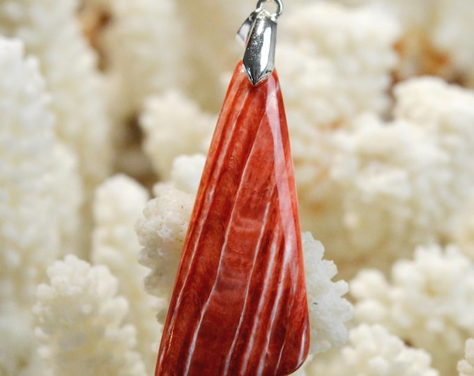 Spiny Oyster - Spondylus - 38 carats - natural shell cabochon pendant - Mexico / FR34