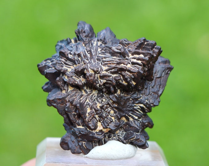 Goethite pseudomorphose after Marcasite - 42 grams - White Desert, Farafra Oasis, New Valley Governorate, Egypt