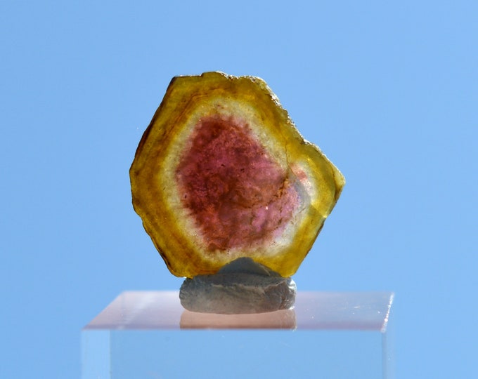Tourmaline "Watermelon" 5 carats - Polished slice natural stone - Pederneira mine, São José da Safira, Minas Gerais, Brazil