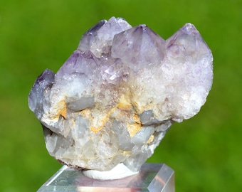 Cactus Amethyst 117 grams - Boekenhoutshoek area, Mkobola, Nkangala District, Mpumalanga, South Africa