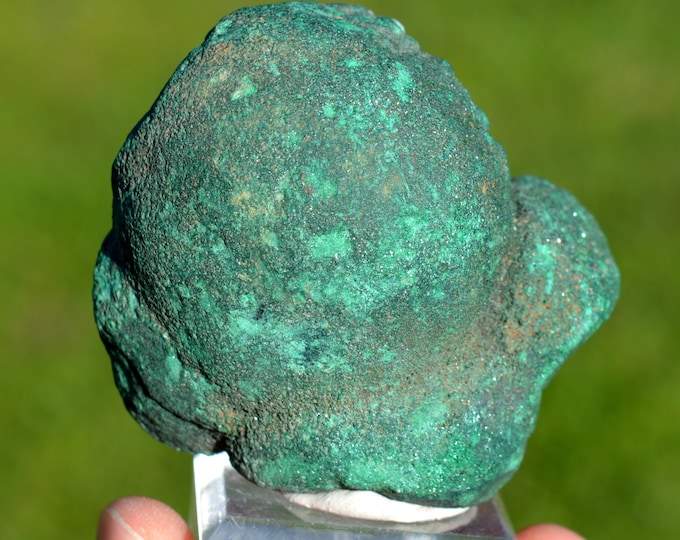 Malachite 305 grams - Lubumbashi, Haut-Katanga, DR Congo