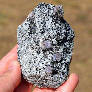 Peut inclure: Un spécimen minéral brut et irrégulier présentant une matrice tachetée de noir et de blanc semblable à du granit. Plusieurs cristaux hexagonaux translucides, de couleur violet pâle, sont incrustés dans la surface texturée.