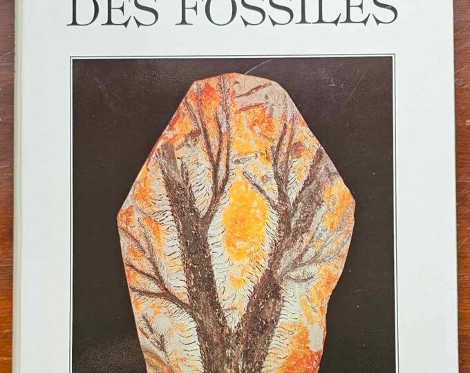 The Great Encyclopedia of Fossils - Gründ 1989 Second Edition - Used