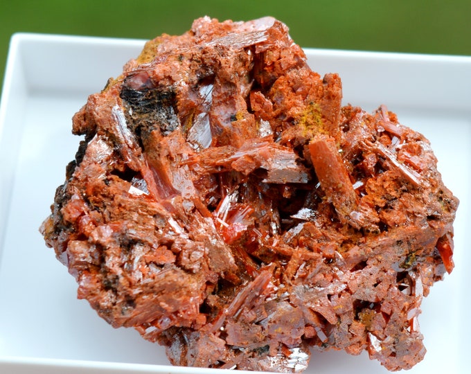 Crocoite 43 grams - Dundas mineral field, Zeehan District, West Coast municipality, Tasmania, Australia