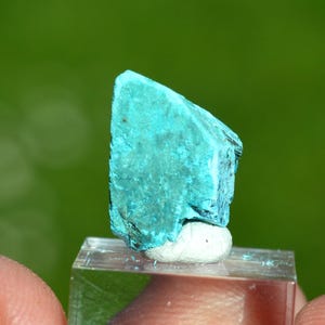 May include: A vibrant turquoise mineral specimen, showcasing a rough, textured surface. The mineral is mounted on a clear, rectangular base, with a blurred green background. The stone's color is a striking contrast against the neutral base.