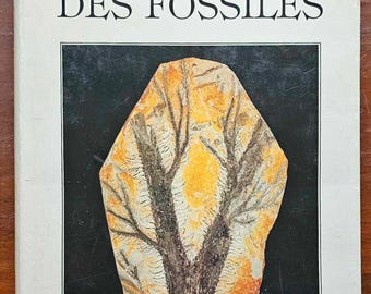 The Great Encyclopedia of Fossils - Gründ 1988 Original Edition - Used