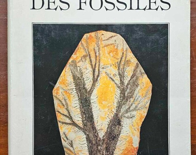The Great Encyclopedia of Fossils - Gründ 1988 Original Edition - Used