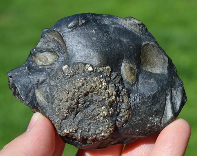 Pyrite & Schist 330 grams - Porsguen beach alluvial deposits, Plougastel-Daoulas, Brest, Finistère, Brittany, France