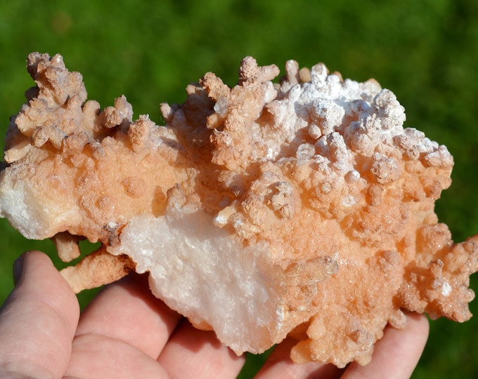 Aragonite 588 grams - Lamalou-les-Bains, Béziers, Hérault, Occitanie, France