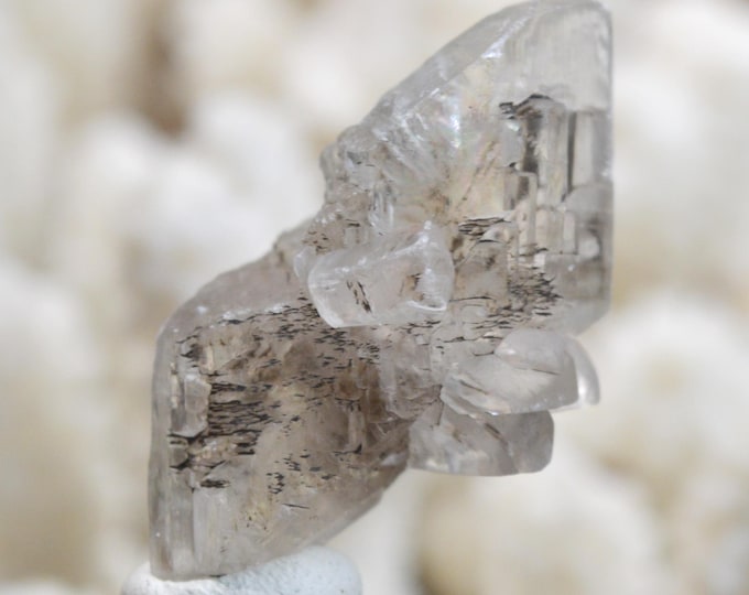 Gypsum 13 grams - Templeuve Quarry, Templeuve-en-Pévèle, Lille, North, Hauts-de-France, France
