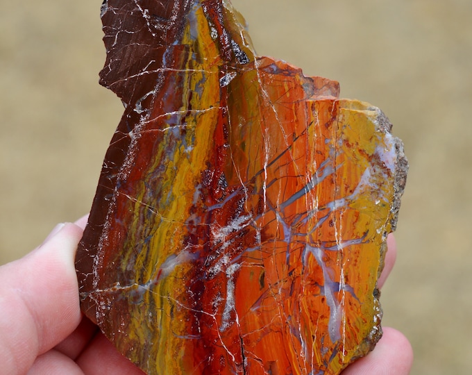 Jasper 205 grams - Jeerinah Tiger Eye Jasper claim, Mount Brockman, Ashburton Shire, Western Australia, Australia