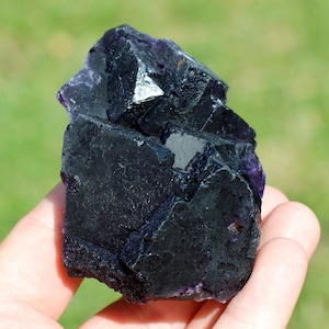 Fluorite 320 grams - Melchor Múzquiz, Múzquiz Municipality, Coahuila, Mexico