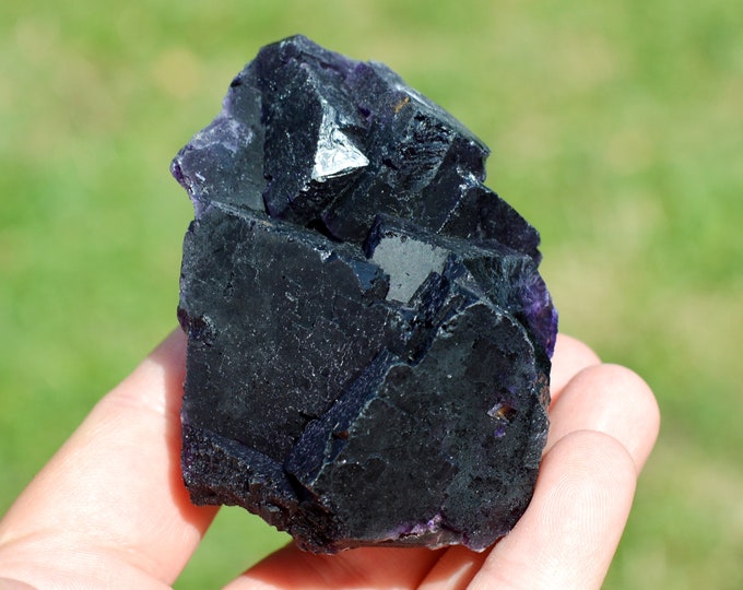 Fluorite 320 grams - Melchor Múzquiz, Múzquiz Municipality, Coahuila, Mexico
