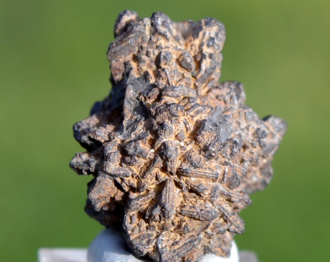 Marcasite and/or Pyrite 7 grams - Cap Blanc-Nez, Escalles, Calais, Pas-de-Calais, Hauts-de-France, France