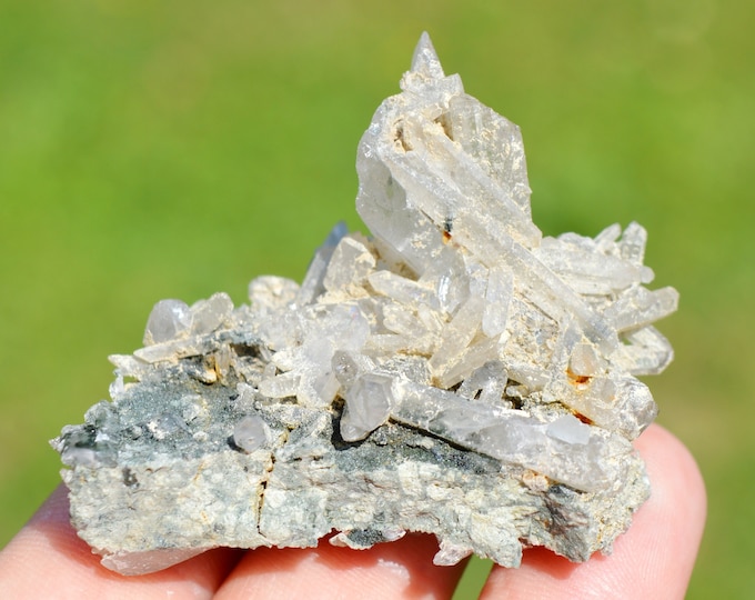 Quartz & Chlorite 44 grams - Bierghes, Rebecq, Walloon Brabant, Wallonia, Belgium