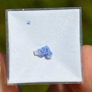 May include: A small, blue, crystalline mineral specimen in a white display box.
