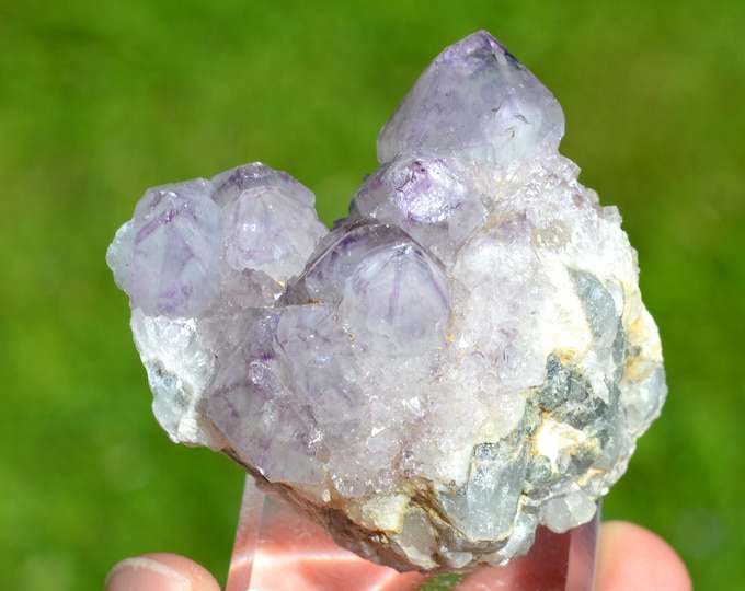 Amethyst cactus 120 grams - Boekenhoutshoek area, Mkobola, Nkangala District, Mpumalanga, South Africa