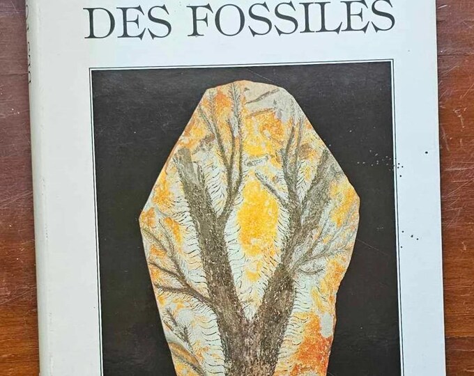 The Great Encyclopedia of Fossils - Gründ 1988 Original Edition - Used