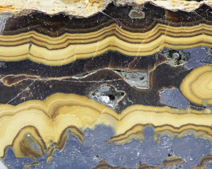 Slice - Marcasite galena sphalerite - 119 gr - Gmina Olkusz, Olkusz Co., Lesser Poland Voivodeship, Poland