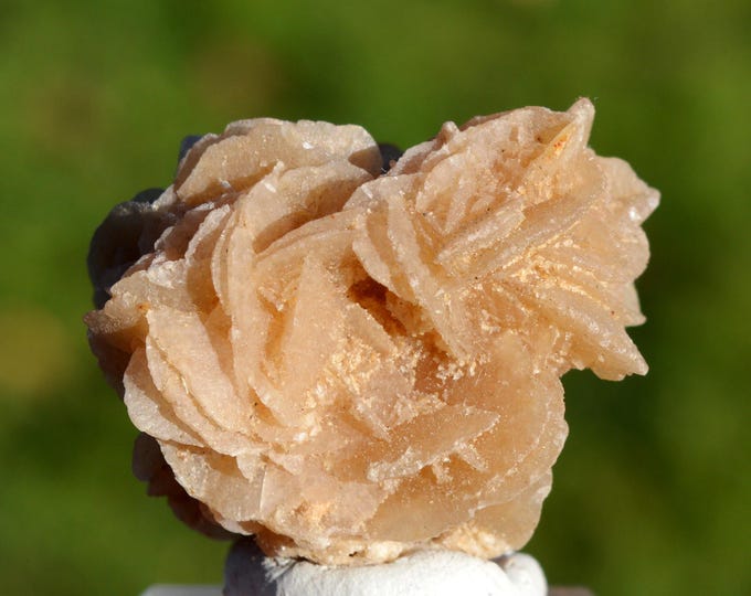 Gypsum var. Desert Rose 44 grams - Douz, Kebili, Tunisia