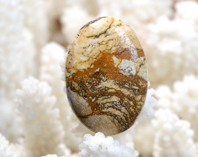 Landscape Jasper 52 carats - natural stone cabochon - Namibia / EQ14