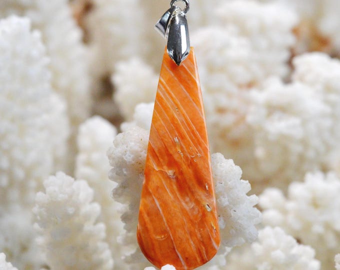 Spiny Oyster - Spondylus - 24 carat - natural shell cabochon pendant - Mexico / FR38