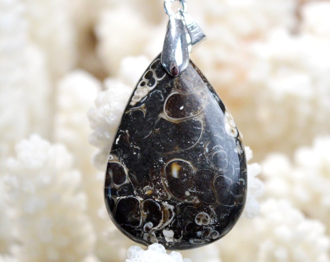 Turritella Agate 38 Carats - Natural Stone Cabochon Pendant - USA // DV37