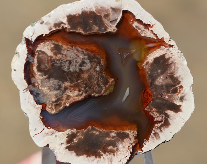 Chalcedony var. agate & Quartz "Lithophyse" 40 grams - Esterel Massif, Var, France