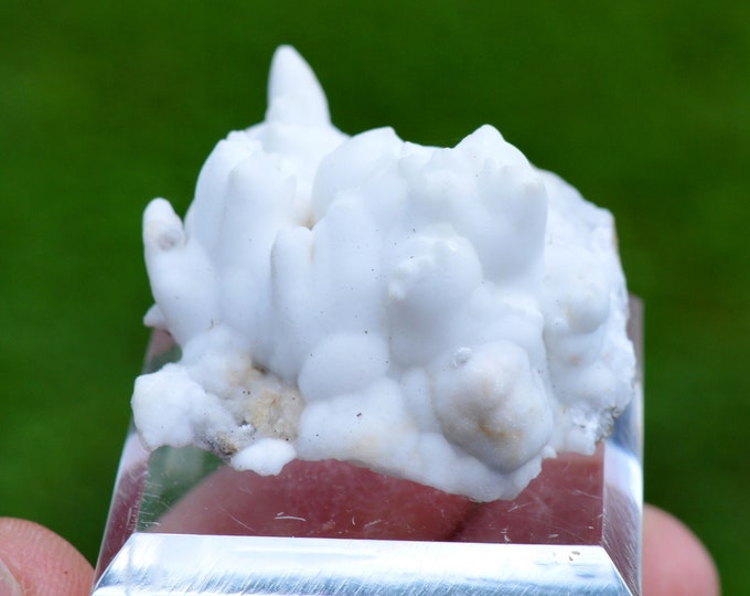 Aragonite "Flos Ferri" 25 grams - Green Fir Mine, Altenberg, Ste Marie-aux-Mines, Colmar-Ribeauvillé, Haut-Rhin, Alsace, France