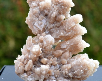 May include: A cluster of light brown, translucent crystals with a rough, textured surface. The crystals are arranged in a fan-like shape, creating a unique and natural display.
