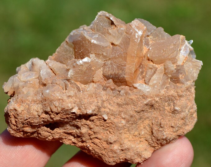 Gypsum 88 grams - El Hamma, Gabès, Tunisia