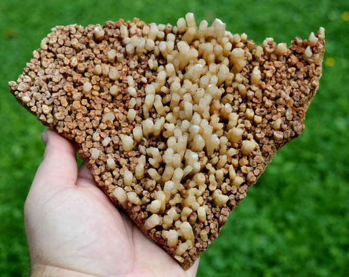 Neoformation gypsum 906 grams - Nancy, Meurthe-et-Moselle, Grand Est, France