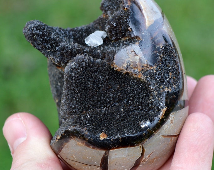 Egg - Wild Septaria & Calcite - 394 grams - Madagascar