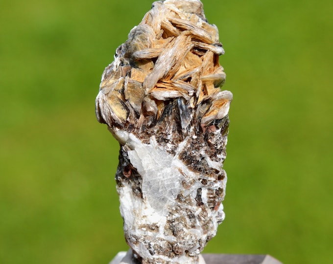 Muscovite & Albite var. Cleavelandite 31 grams - São José da Safira, Minas Gerais, Brazil