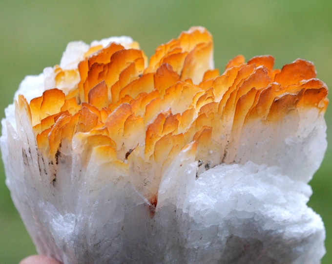 Celestine 288 grams - Hammam-Zriba Mine, Zriba-Village, Zaghouan, Tunisia