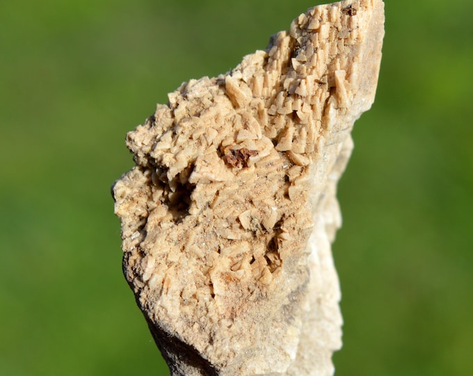 Dolomite 28 grams - Beez quarry, Namur, Namur, Wallonia, Belgium
