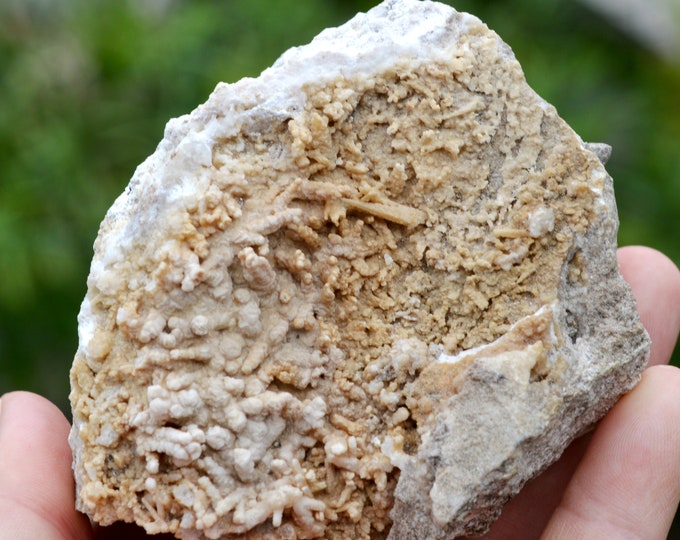 Aragonite 412 grams - Musonoi Mine, Kolwezi, Lualaba, DR Congo