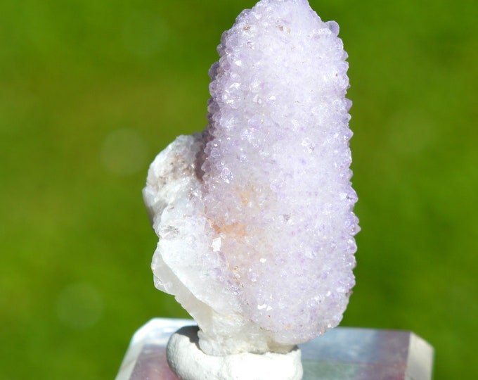 Amethyst cactus 30 grams - Boekenhoutshoek area, Mkobola, Nkangala District, Mpumalanga, South Africa