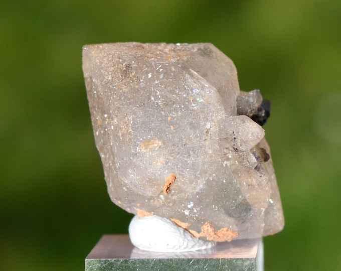 Double-terminated quartz 12.3 grams - Saint-Jean-de-Valériscle, Alès, Gard, Occitanie, France