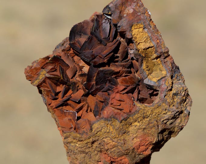 Siderite 188 grams - Mont-Roc Mine, Mont-Roc, Castres, Tarn, Occitanie, France
