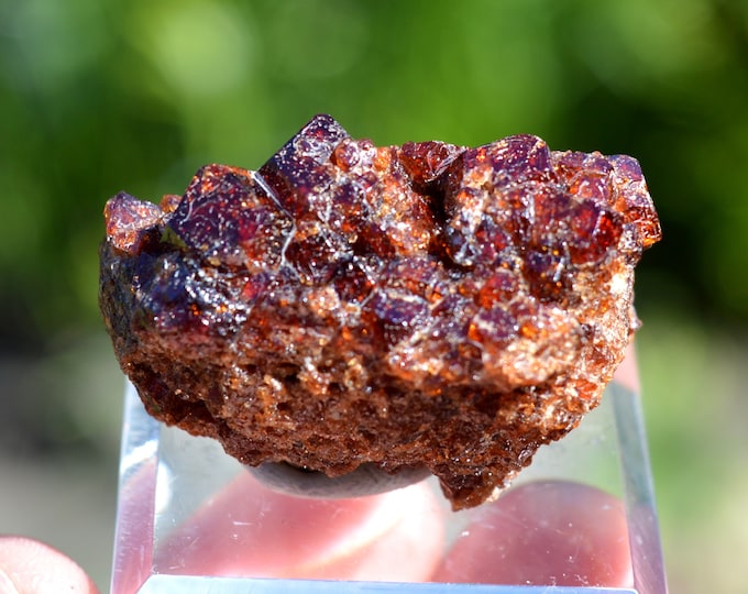 Garnet var. Grossular 35 grams - Rubeho Mountains, Kilosa District, Morogoro Region, Tanzania
