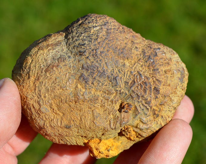 Pyrite 550 grams - Cap Blanc-Nez, Escalles, Calais, Pas-de-Calais, Hauts-de-France, France