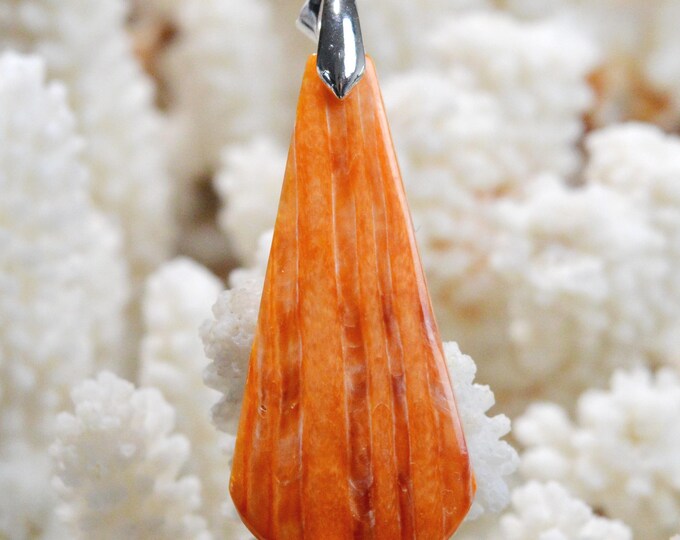 Spiny Oyster - Spondylus - 37 carats - natural shell cabochon pendant - Mexico / FR43