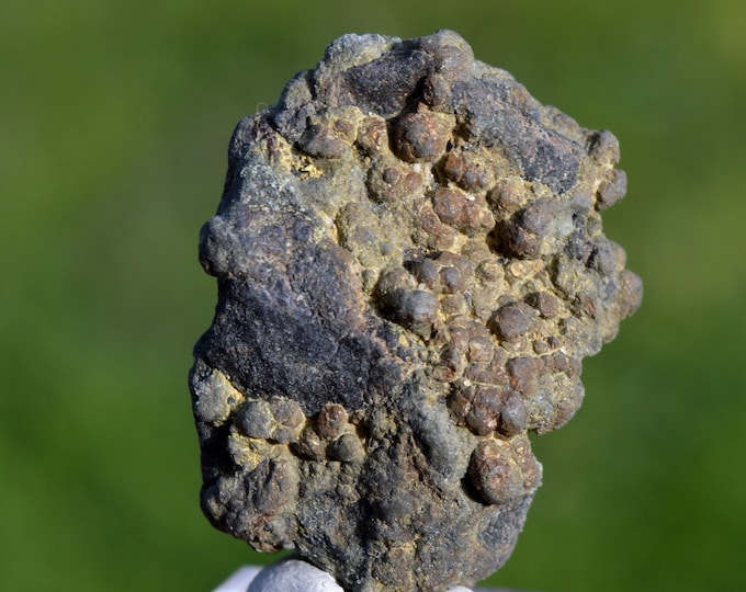 Marcasite and/or Pyrite 21 grams - Cap Blanc-Nez, Escalles, Calais, Pas-de-Calais, Hauts-de-France, France