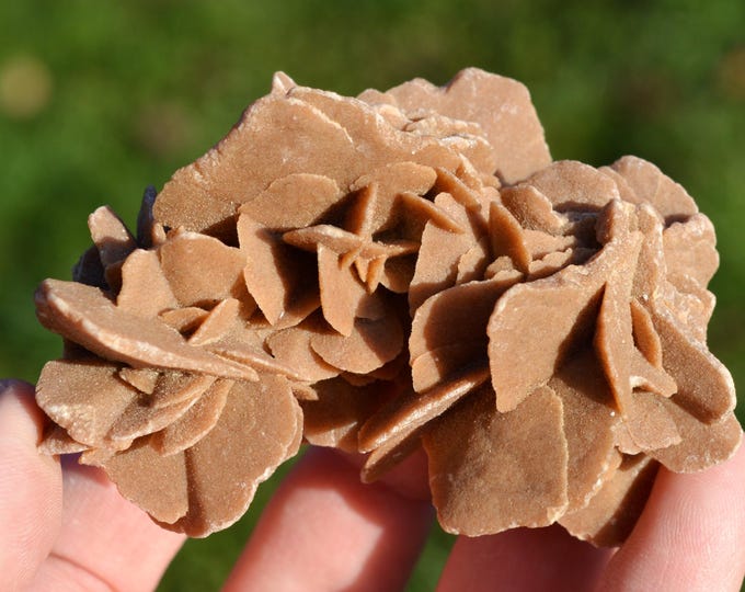 Gypsum var. Rose des sables 132 grams - Arfoud Cercle, Errachidia Province, Drâa-Tafilalet Region, Morocco