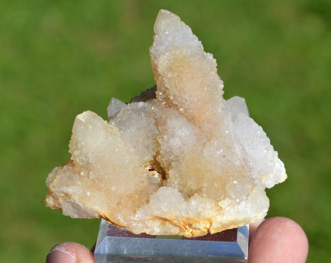 Cactus Amethyst 101 grams - Boekenhoutshoek area, Mkobola, Nkangala District, Mpumalanga, South Africa