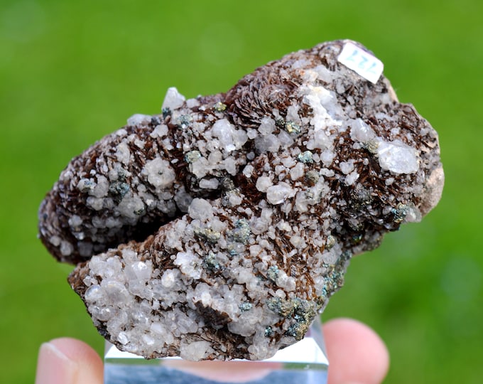 Calcite & Siderite 255 grams - Peyrebrune, Montredon-Labessonnié, Castres, Tarn, Occitanie, France