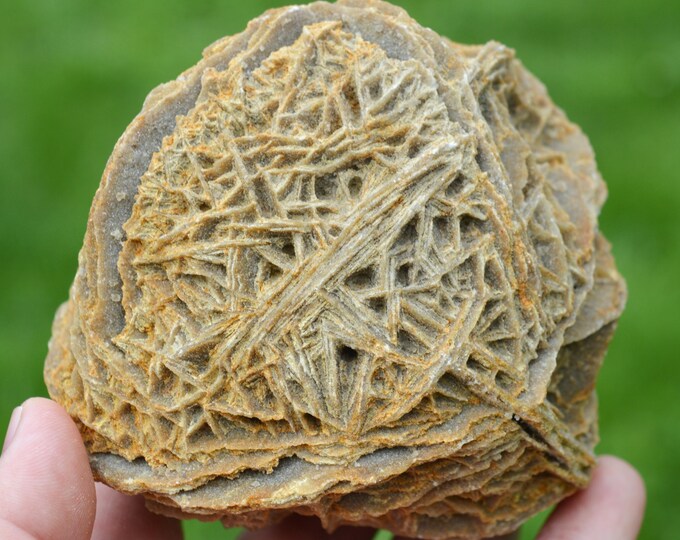 Gypsum var. Sand Rose 903 grams - Gargas, Apt, Vaucluse, Provence-Alpes-Côte d'Azur, France