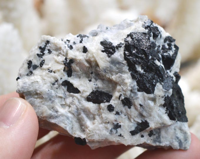 Tourmaline schorl 76 grams - Cauterets-Panticosa plutonic complex, Gavarnie, France